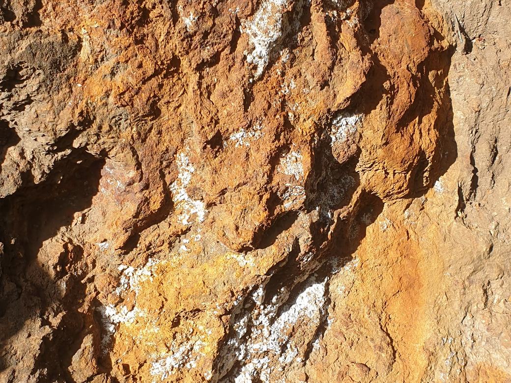 Fieldwork & exploration
