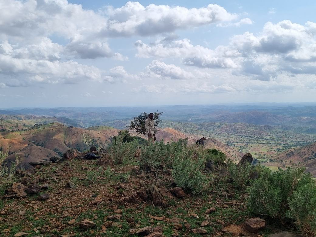 Fieldwork & exploration