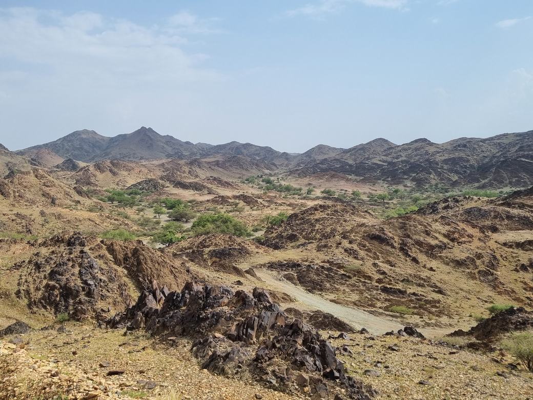 Fieldwork & exploration