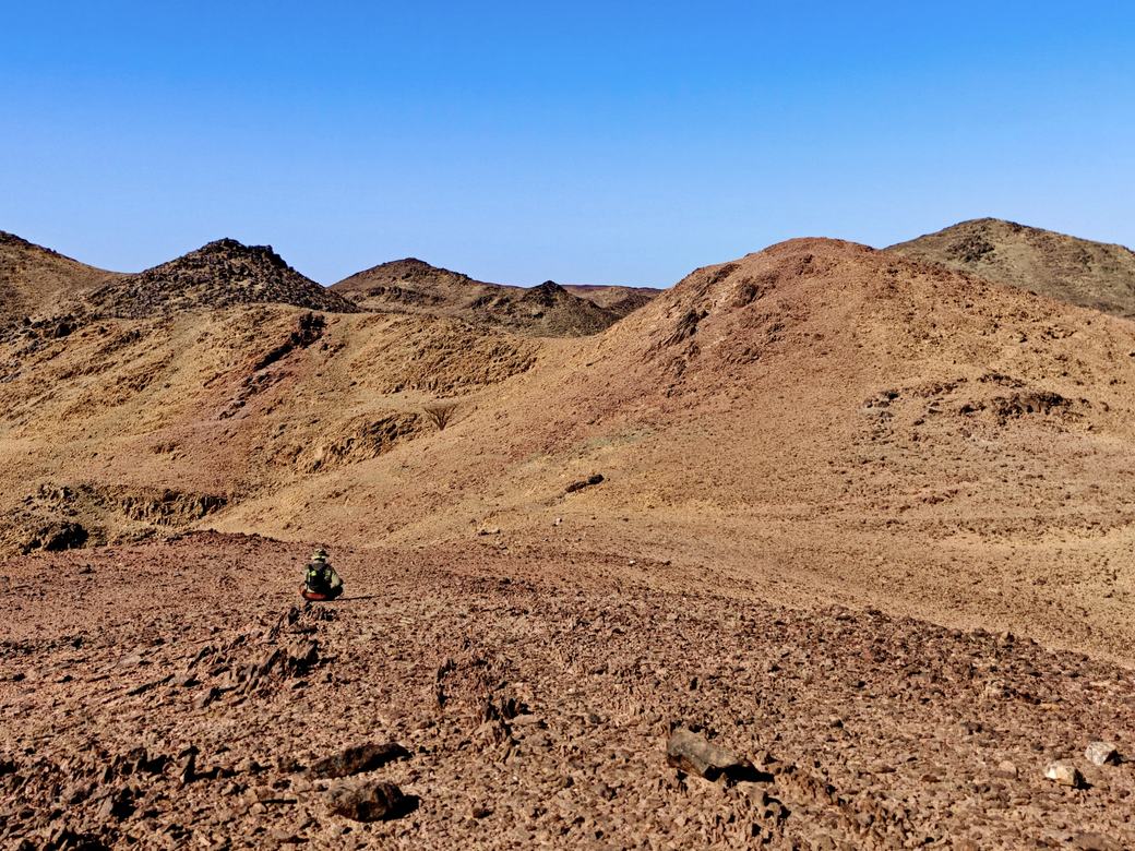 Fieldwork & exploration