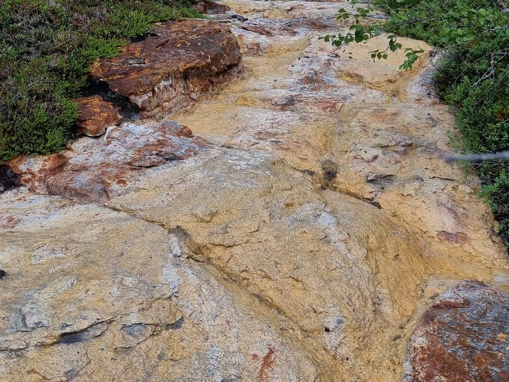 Fieldwork & exploration